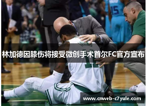 林加德因膝伤将接受微创手术首尔FC官方宣布